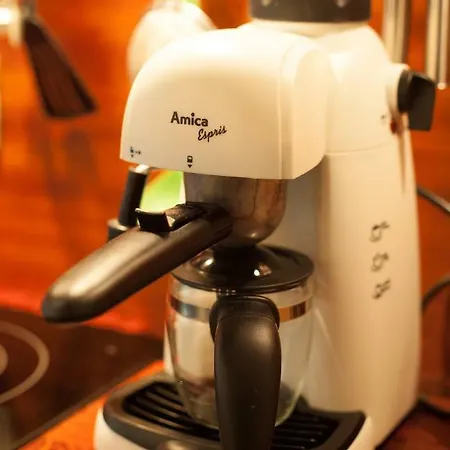 My Place In 포즈난